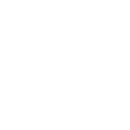 eBay store icon