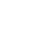 Shopify icon